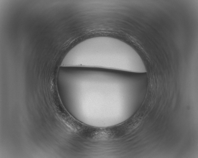 X0000052540259200507010826