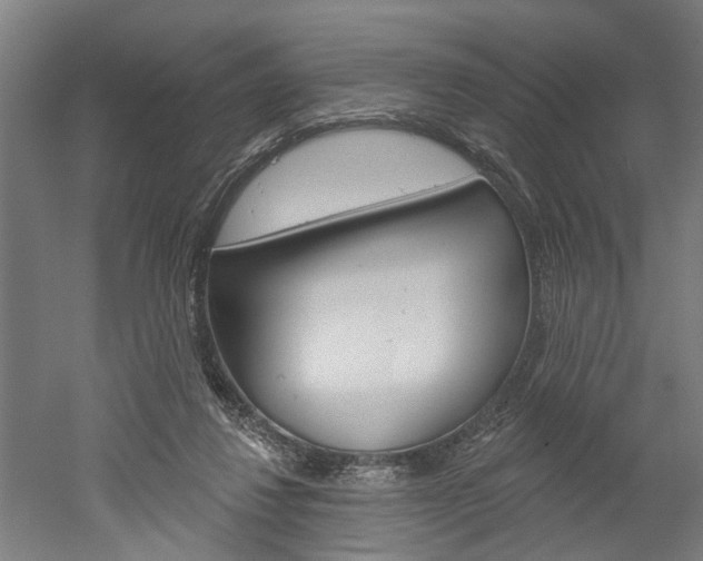 X0000052540260200507010826