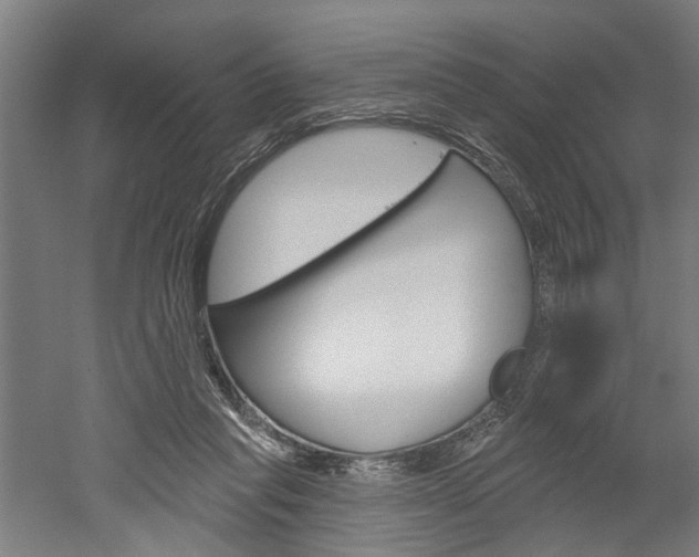 X0000052540261200507010826