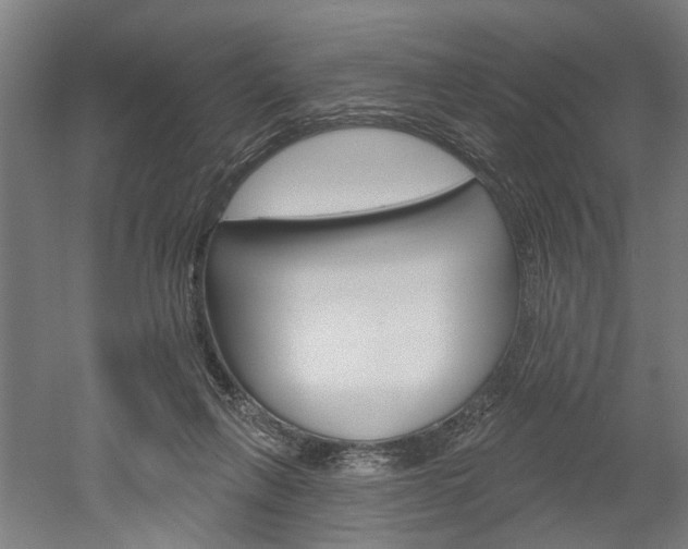 X0000052540263200507010826