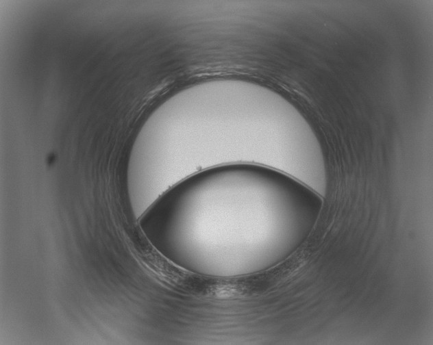 X0000052540264200507010826