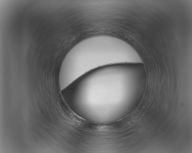 X0000052540268200507010826