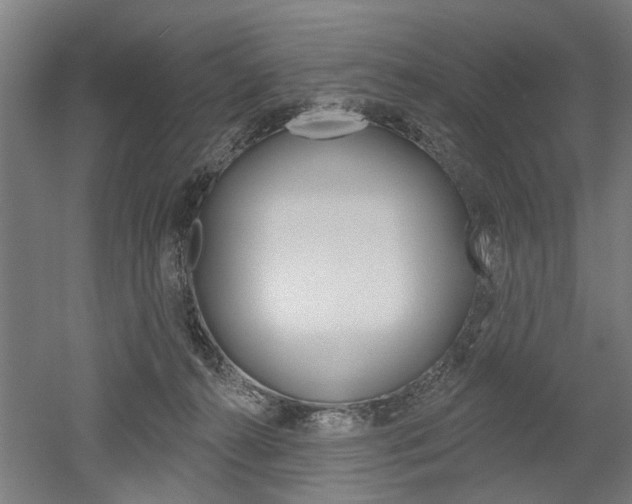 X0000052540272200507010827