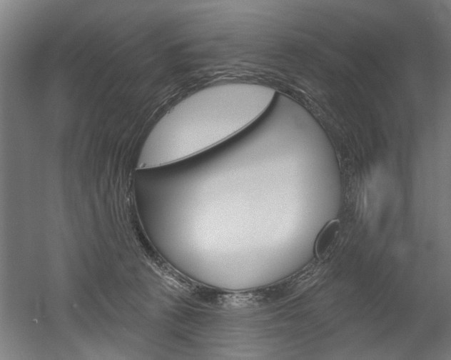 X0000052540273200507010827