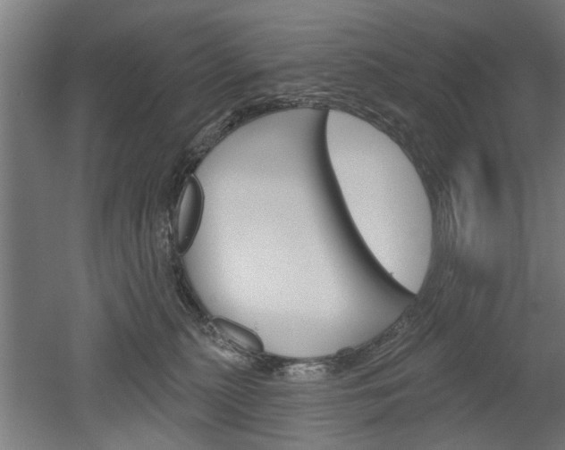 X0000052540279200507010827