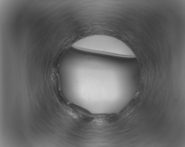 X0000052540280200507010827