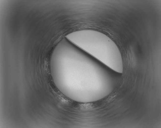 X0000052540281200507010827