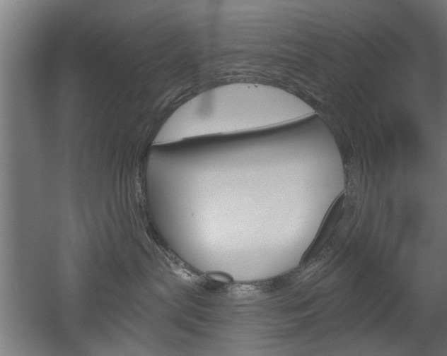 X0000052540287200507010827