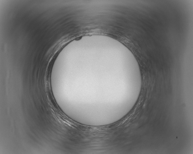 X0000052540290200507010826