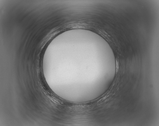 X0000052540291200507010826