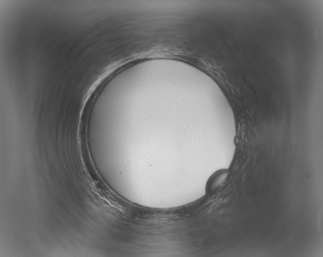 X0000052540292200507010826