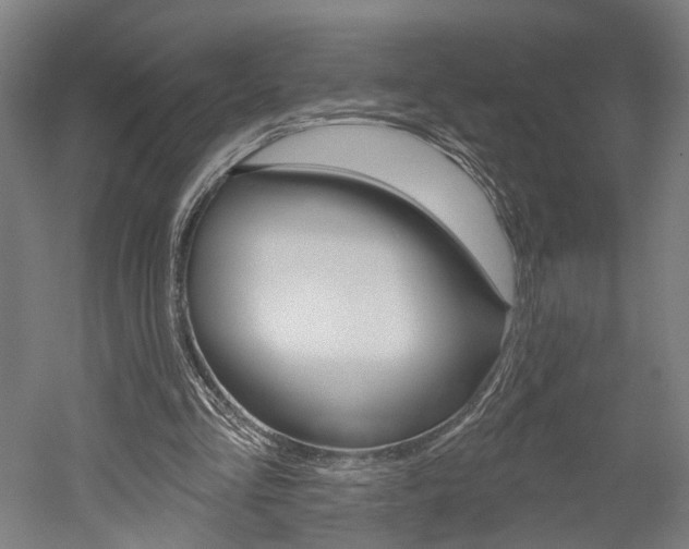 X0000052540293200507010826