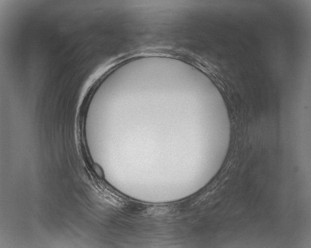 X0000052540294200507010826