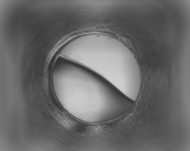 X0000052540295200507010826