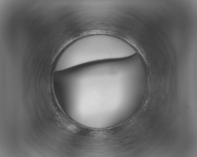 X0000052540297200507010826