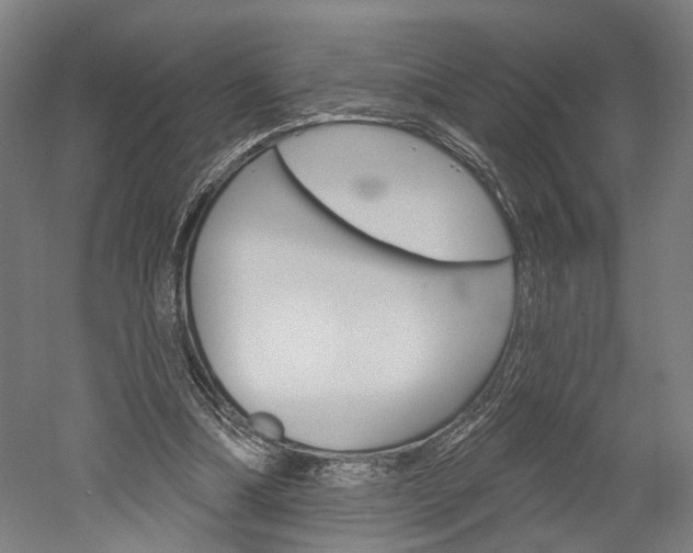X0000052540298200507010826