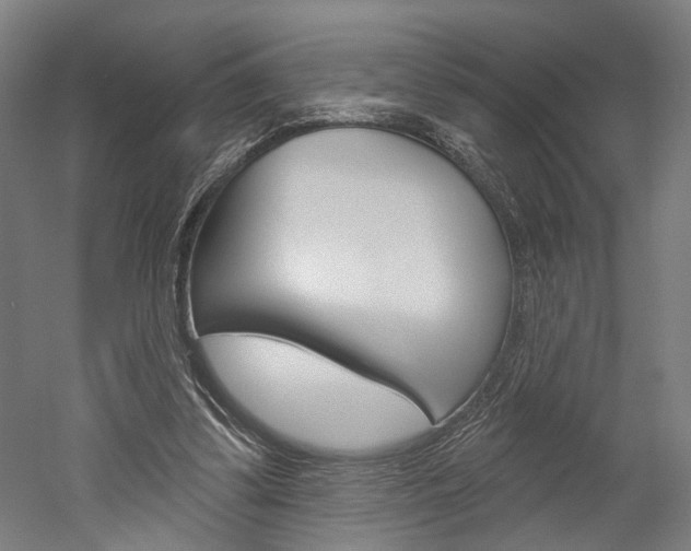 X0000052540299200507010826