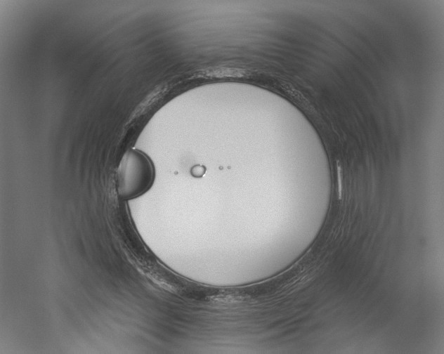 X0000052540300200507010826