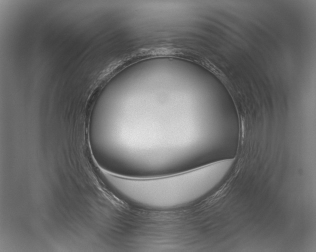 X0000052540301200507010826