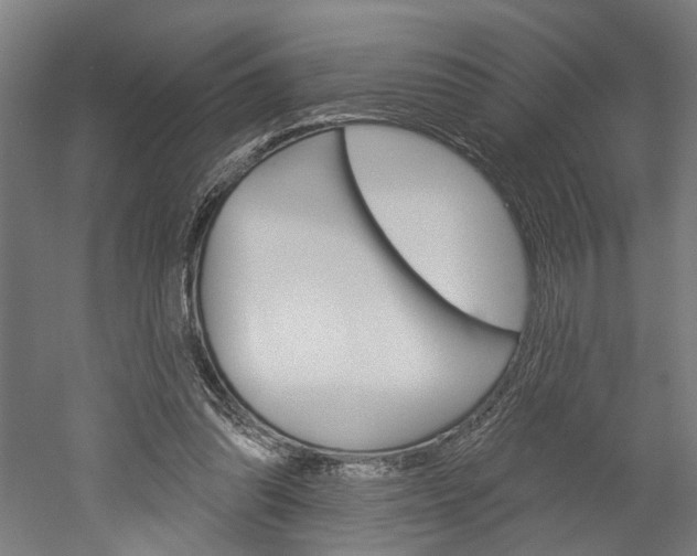 X0000052540302200507010826