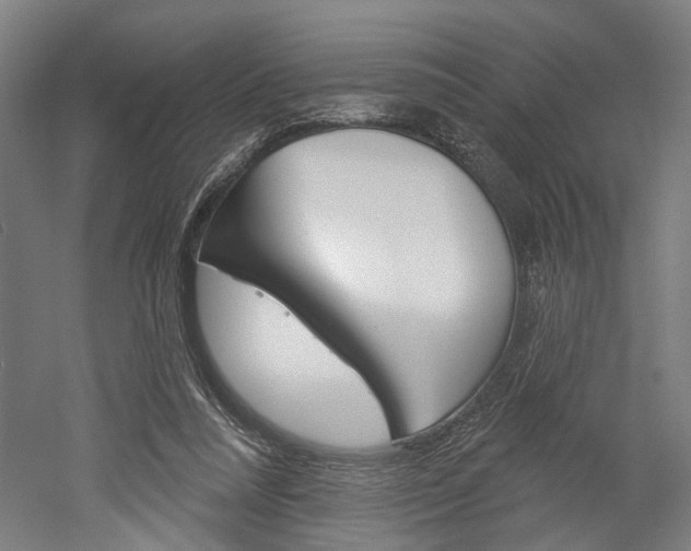X0000052540304200507010826