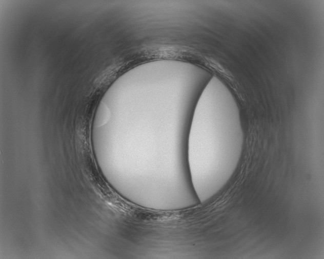 X0000052540306200507010826