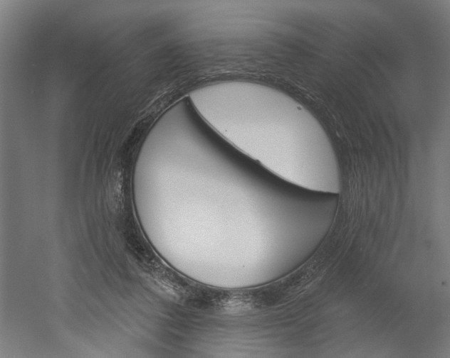 X0000052540308200507010826