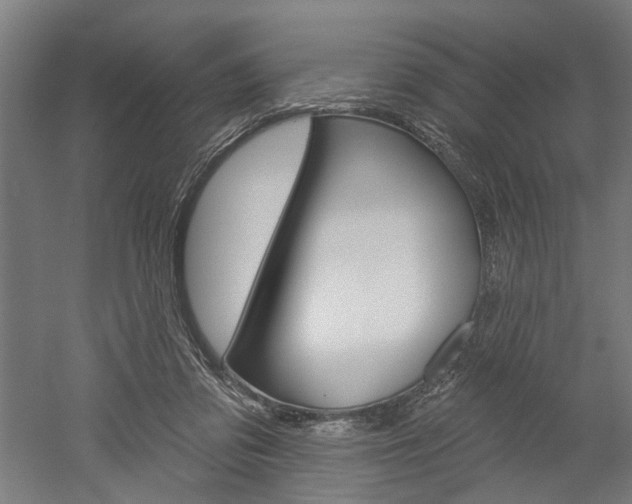 X0000052540309200507010826