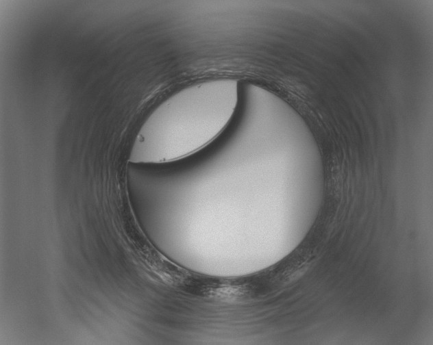 X0000052540312200507010826