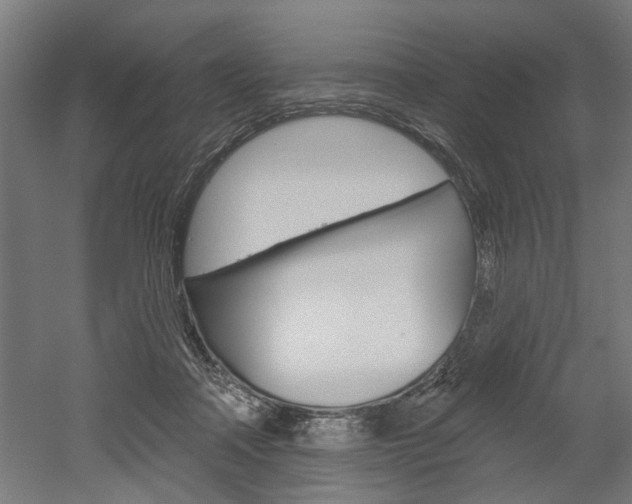 X0000052540314200507010826