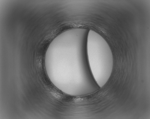 X0000052540315200507010826