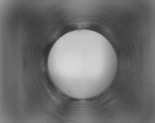 X0000052540316200507010826