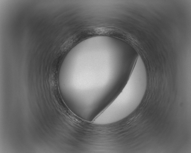 X0000052540317200507010826