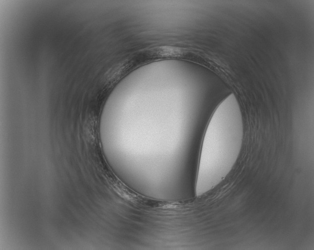 X0000052540325200507010825