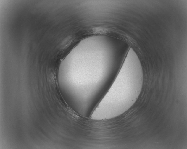 X0000052540329200507010825