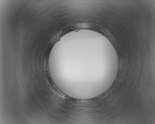 X0000052540330200507010825