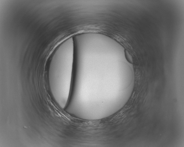 X0000052540338200507010824