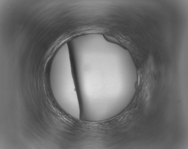 X0000052540339200507010824