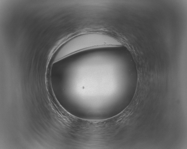 X0000052540340200507010824