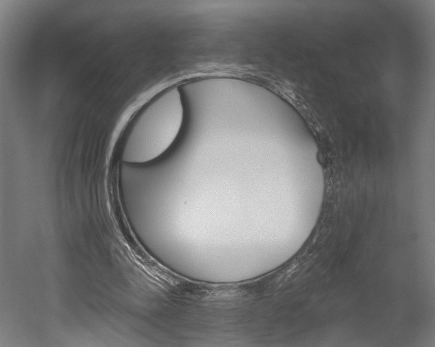 X0000052540342200507010824