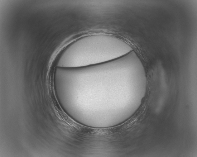 X0000052540343200507010824