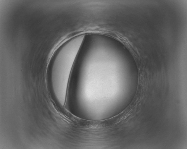 X0000052540344200507010825
