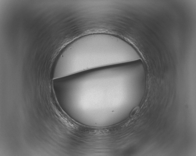 X0000052540345200507010825