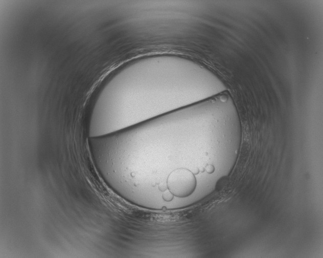 X0000052540347200507010825
