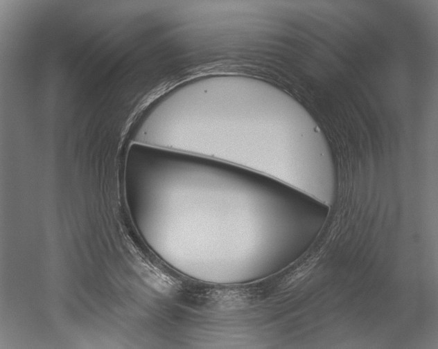 X0000052540349200507010825