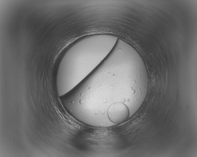 X0000052540351200507010825