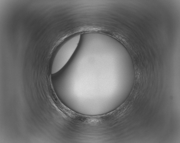 X0000052540352200507010825