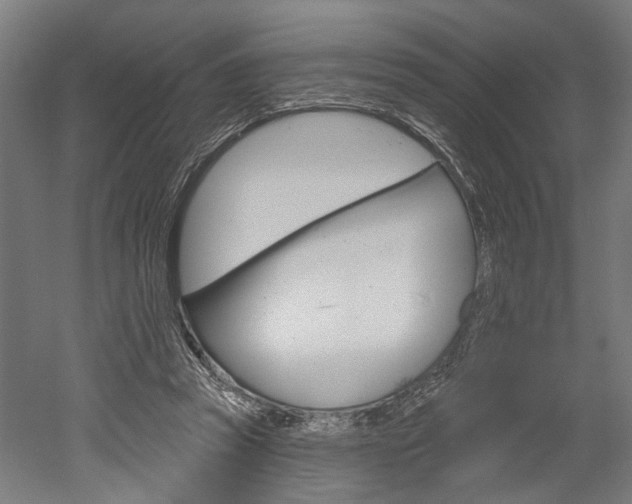 X0000052540353200507010825