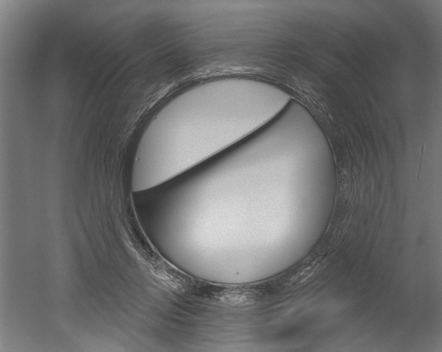 X0000052540358200507010825