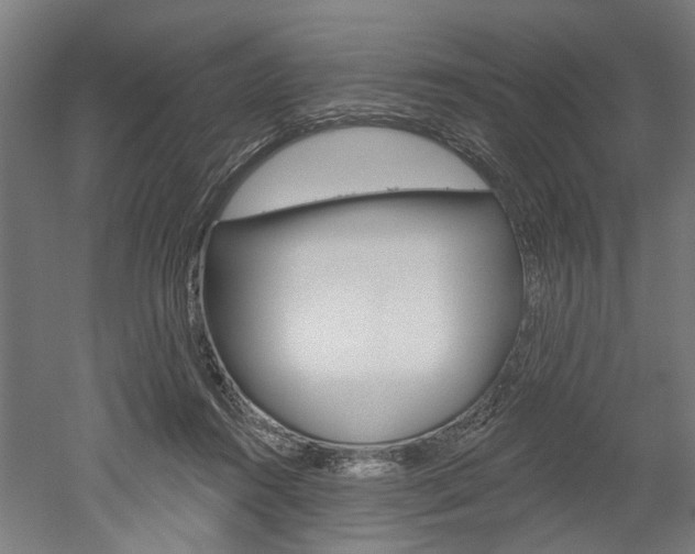 X0000052540360200507010825